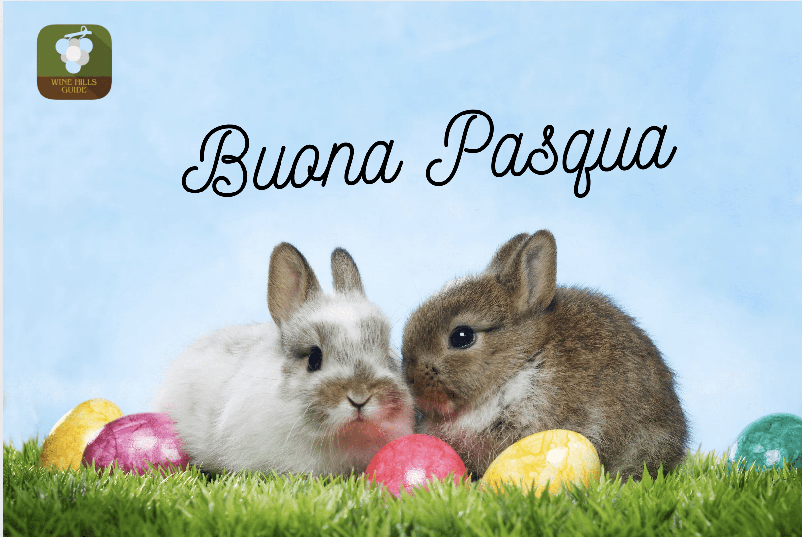 Buona pasqua Wine hillsguide