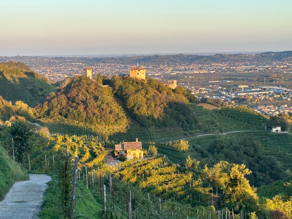 Torri di Credazzo WineHillsGuide