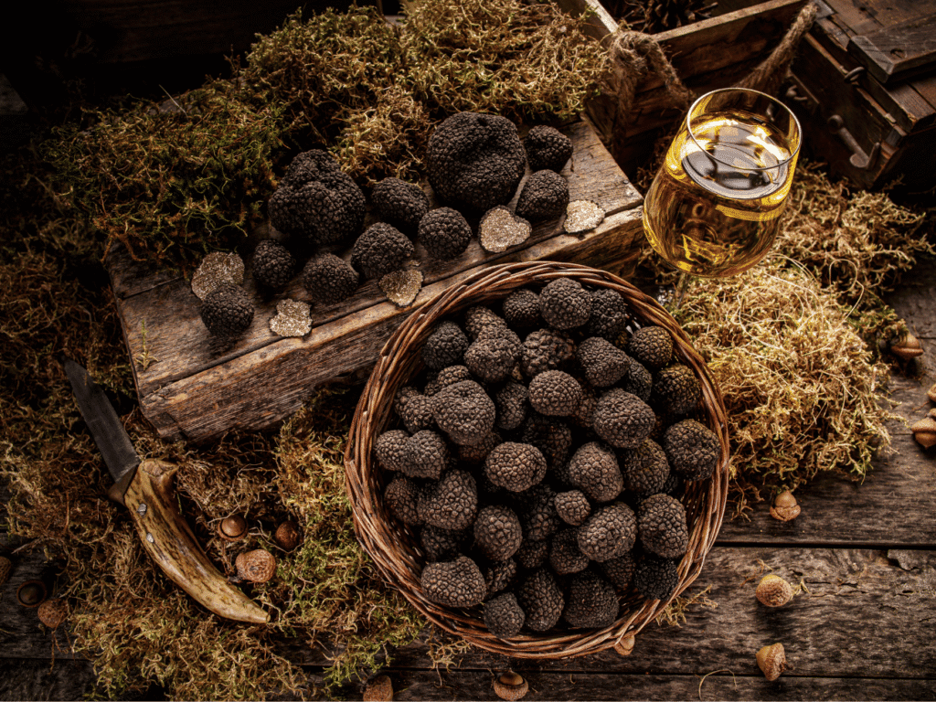 tartufi wine hills guide guida prosecco
