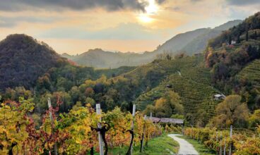 Idee per Agosto 2025