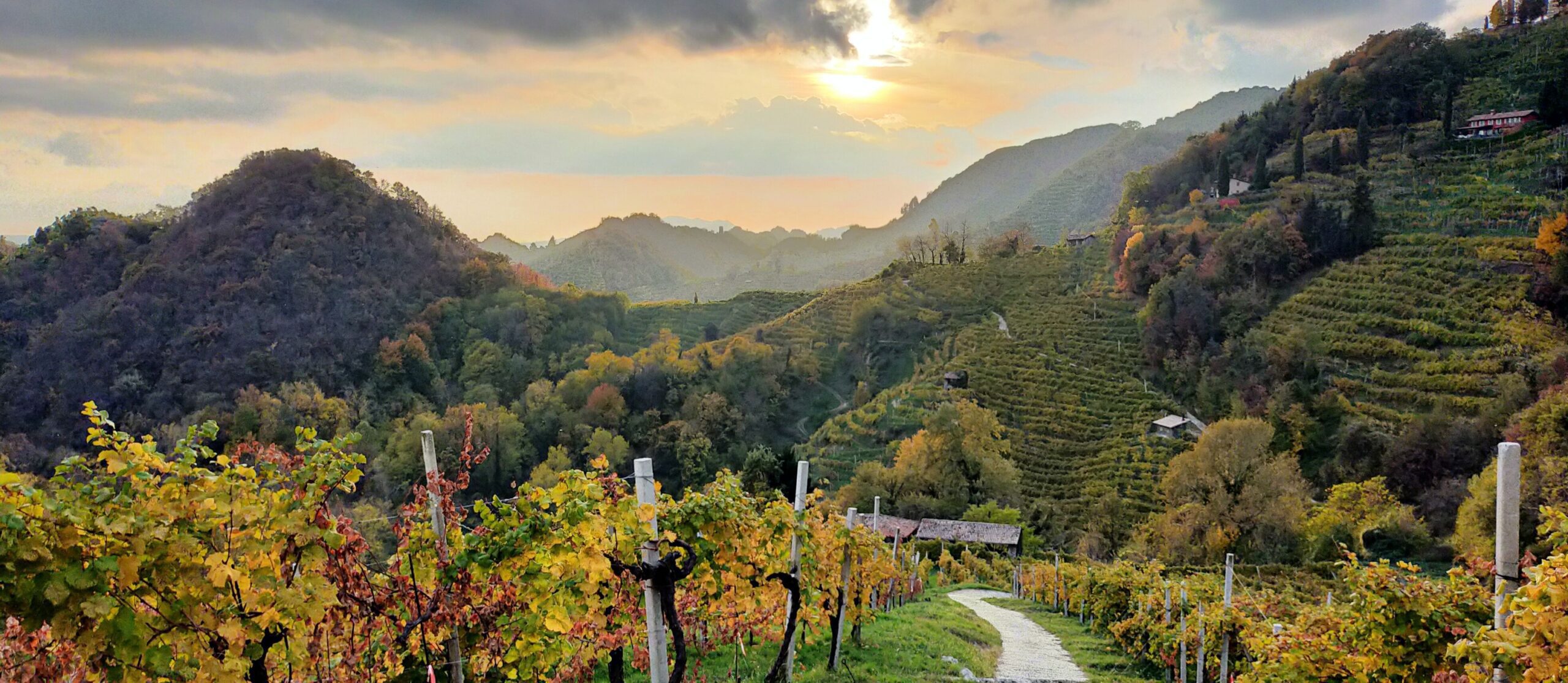 colline del prosecco