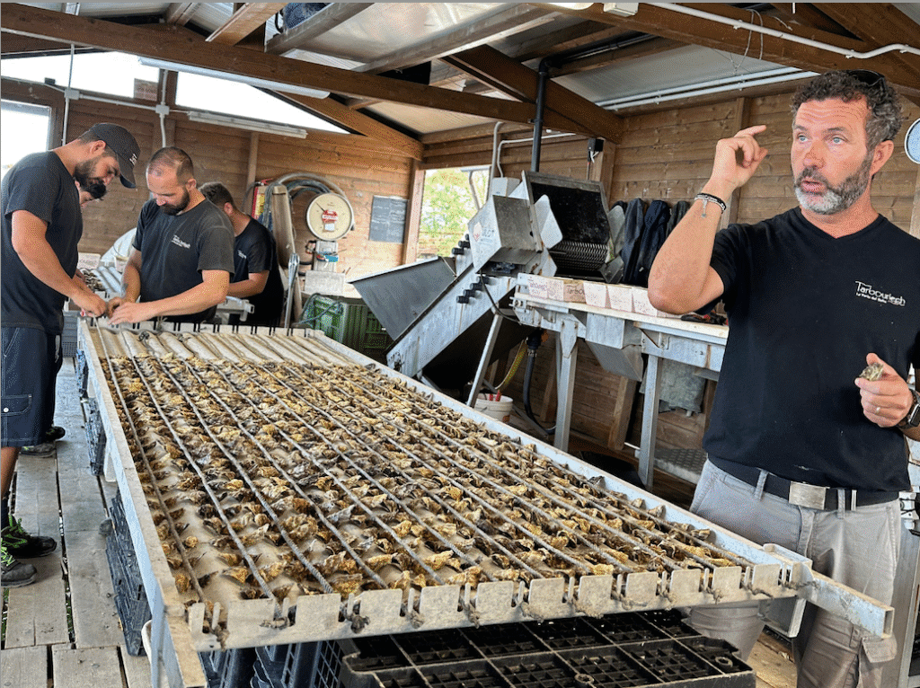 Screenshot 2025 08 05 alle 18.00.18