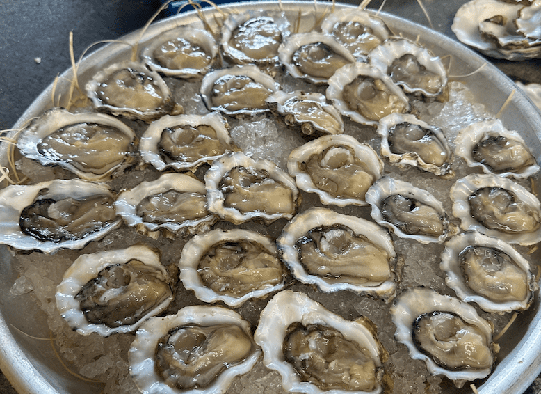 Screenshot 2025 08 05 alle 18.01.50