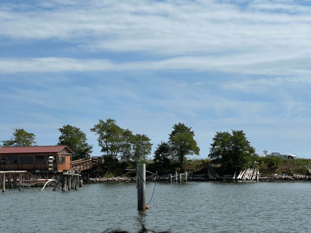 Degustazione Ostriche