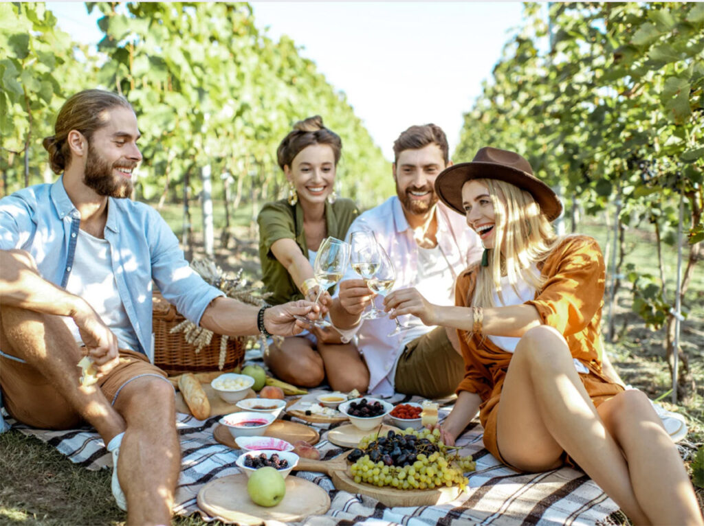 tour colline del prosecco