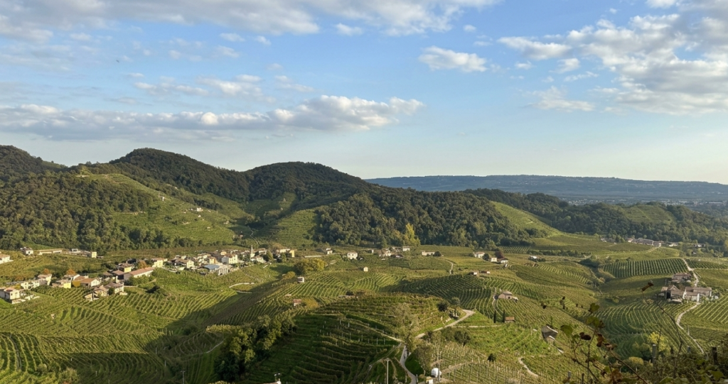 Gemini Generated Image oz1ohnoz1ohnoz1o e1786457861661 wine hills guide guida prosecco